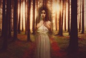 白狐之夢，神秘與幻想的交織，白狐之夢，神秘與幻想的交織