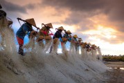 種地免費(fèi)游戲，開(kāi)啟你的農(nóng)業(yè)夢(mèng)想之旅，種地大富翁，啟動(dòng)你的農(nóng)田冒險(xiǎn)之旅，免費(fèi)享受農(nóng)業(yè)的樂(lè)趣