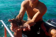 夢(mèng)到捉魚(yú)的奇幻之旅，夢(mèng)中的捉魚(yú)奇幻之旅