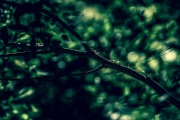 夢(mèng)到掉牙齒，解讀夢(mèng)境中的象征意義，解讀夢(mèng)境中的象征意義，夢(mèng)到掉牙齒的含義