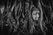 夢(mèng)中的神秘之旅，一次與怪魚(yú)的邂逅，夢(mèng)中的神秘之旅，與怪魚(yú)的邂逅