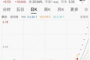 連續(xù)漲停又跌停！一批公司提示風(fēng)險(xiǎn)