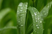 一則新聞引發(fā)的深思，我國成功研發(fā)新型環(huán)保材料，助力綠色發(fā)展，我國環(huán)保材料創(chuàng)新突破，新型研發(fā)助力綠色發(fā)展新篇章