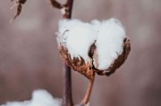 期貨交易中的多元化投資策略如何執(zhí)行？