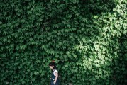 綠色未來，共筑美好—盤點(diǎn)近期環(huán)保新聞熱點(diǎn)，綠色征程，共繪未來篇章——近期環(huán)保新聞聚焦