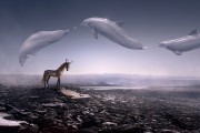夢中之夢，他人安睡之景，夢境交織，他人安睡之景的夢中之夢