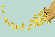 互換便利大幅提高機(jī)構(gòu)潛在杠桿能力，16萬億元險(xiǎn)資蓄勢待發(fā)