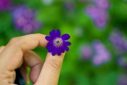 芭比打扮游戲免費(fèi)下載，讓小女孩過上精致的生活，芭比打扮游戲