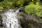 流量與網(wǎng)站訪(fǎng)問(wèn)，一個(gè)動(dòng)態(tài)平衡的藝術(shù)，數(shù)字營(yíng)銷(xiāo)中的動(dòng)態(tài)平衡藝術(shù)，如何實(shí)現(xiàn)流量和訪(fǎng)問(wèn)的動(dòng)態(tài)調(diào)整