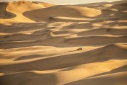 夢(mèng)中的布料之旅，夢(mèng)游布料之旅