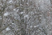 雪舞夢境——我的夢中雪景，雪舞夢境，我的夢中雪景的詩意之旅