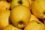 日本Rapidus公司正與蘋(píng)果、谷歌洽談芯片大規(guī)模生產(chǎn)事宜