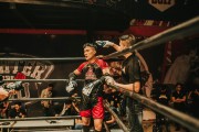 格斗游戲的狂熱與挑戰(zhàn)——探尋免費(fèi)版的力量，探索付費(fèi)格斗游戲，免費(fèi)版本的力量