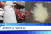 “羽絨騙局”曝光：兒童羽絨服也造假，檢測(cè)報(bào)告成本一兩元錢(qián)