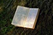 夢到書，一場心靈與知識的奇妙旅程，夢中的書，心靈與知識的奇妙旅程