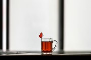 夢(mèng)中的禿頂之謎，探索內(nèi)心深處的自我啟示，夢(mèng)中的禿頂之謎，內(nèi)心深處的自我啟示探索
