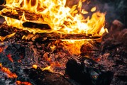 馬上玩免費(fèi)游戲的歡樂源泉，立即享樂海量免費(fèi)游戲等待你來發(fā)掘!