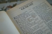 輕松入門，教你如何在論壇注冊賬號，論壇新手指南，輕松注冊賬號全攻略