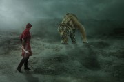夢(mèng)中的勇氣，與老虎搏斗的奇幻之旅，夢(mèng)中的勇氣，與老虎搏斗的奇幻之旅