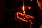 燃燒的生命——螢火蟲（寓言故事），螢火蟲的奧秘