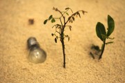 輕盈的夏日午后——輕松享受薄荷游戲免費(fèi)，輕松享受，夏季薄荷游戲——只用一包薄荷