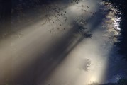 夢(mèng)遇高僧，一場心靈的覺醒之旅，夢(mèng)遇高僧，心靈覺醒之旅
