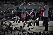 夢(mèng)中的驚魂時(shí)刻——一次車(chē)禍的夢(mèng)境之旅，夢(mèng)中的驚魂時(shí)刻，車(chē)禍夢(mèng)境的探索之旅