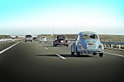 賽車之夢(mèng)，速度與激情的交織，賽車之夢(mèng)，速度與激情的交織