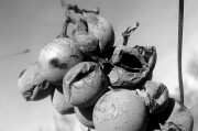 夢(mèng)到被蛇追著咬，解讀夢(mèng)境的深層含義，夢(mèng)境解讀，被蛇追咬的深層含義