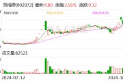 凱瑞德：公司董事長(zhǎng)、總經(jīng)理紀(jì)曉文解除留置