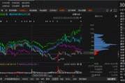 路通視信資金占用形成的關(guān)聯(lián)交易，投資者可索賠！