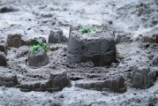 夢中的雷擊，心靈的覺醒之旅，夢中的雷擊，心靈的覺醒之旅