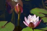 夢(mèng)中與前任的對(duì)話，回憶的漣漪