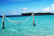 夢中的大魚之旅，夢中的大魚之旅