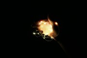 夢(mèng)魘之影，被黑狗咬手的夢(mèng)境解析