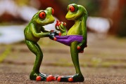 懷孕期間夢(mèng)到青蛙的神秘解讀，懷孕期間夢(mèng)到青蛙的神秘寓意解析
