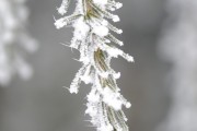 夢(mèng)到魚(yú)吃蛇，一場(chǎng)深邃的夢(mèng)境解析