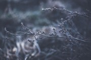 體驗自由無拘無束的游戲世界——免費主機游戲的魅力解析，如何領(lǐng)略自由無拘無束的游戲世界，從免費主機游戲的特性解析