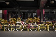 "車庫禁停新能源車"？廣東省博物館回應(yīng)