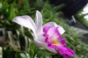 百合花凈利潤預增超43% 需求回暖與子公司扭虧成關鍵驅(qū)動