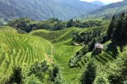 農(nóng)業(yè)新聞，綠色轉(zhuǎn)型下的中國農(nóng)業(yè)新篇章，綠色轉(zhuǎn)型引領(lǐng)下的中國農(nóng)業(yè)新紀(jì)元