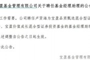 罕見(jiàn)！寶盈基金詭異的基金經(jīng)理變動(dòng)！