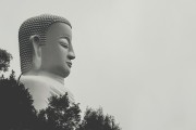 夢中之旅，與他人共度的奇妙時光，夢中之旅，與他人共度的奇妙時光