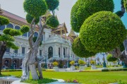 夢(mèng)中的李子樹，一段心靈的旅程，夢(mèng)中的李子樹，心靈的旅程之旅