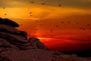 夢(mèng)中的航行之旅，夢(mèng)中的航行之旅，探索心靈深處的旅程