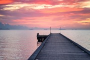 夢(mèng)到摘果子的奇幻之旅，奇幻之旅，夢(mèng)中的摘果之旅
