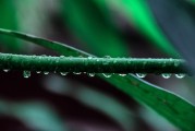 一種技術與藝術的完美結合，科技與藝術的碰撞，探索新型融合方式