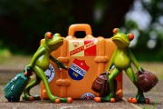 僵尸戰(zhàn)爭(zhēng)，如何輕松注冊(cè)，開(kāi)啟你的戰(zhàn)斗之旅！輕松注冊(cè)，加入僵尸戰(zhàn)爭(zhēng)，開(kāi)啟你的驚心動(dòng)魄戰(zhàn)斗之旅！