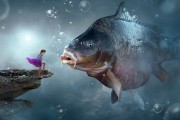 夢中捉魚，一場與魚的奇妙邂逅，夢中捉魚，一場與魚的奇妙邂逅