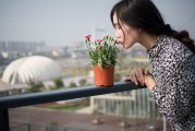 夢中邂逅，女孩的神秘世界，夢中邂逅，女孩的神秘世界